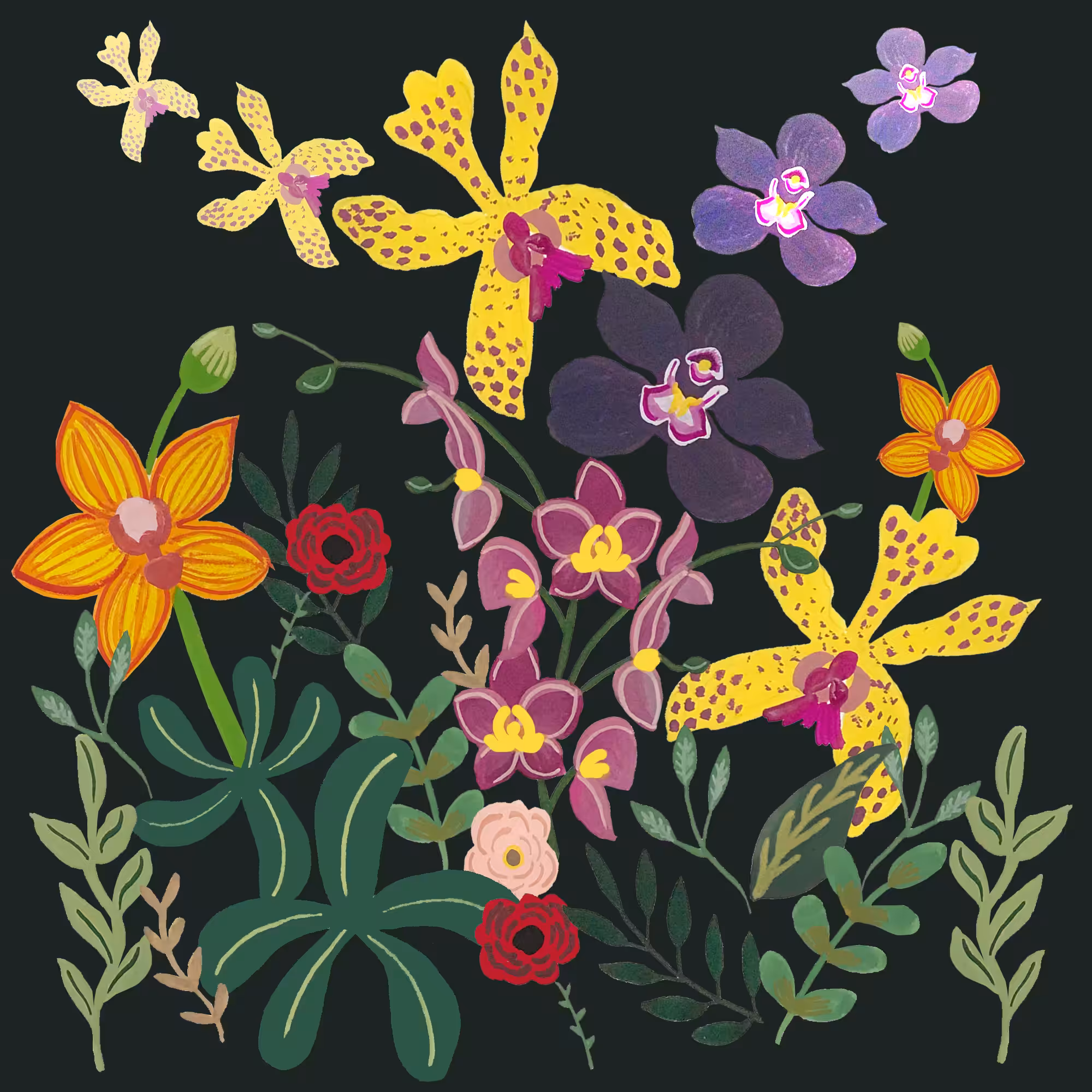 Orchid Walls