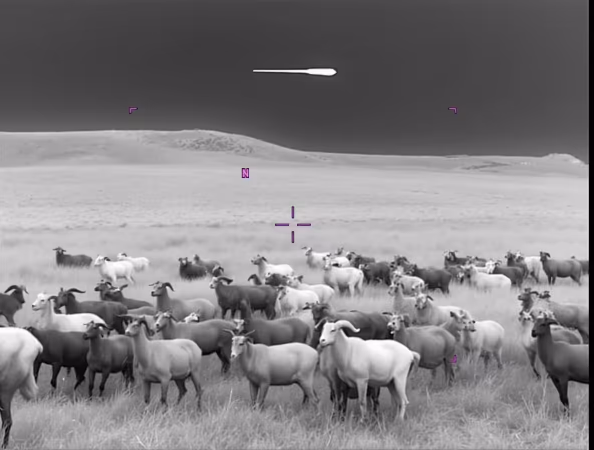 Unidentified Anomalous Phenomena: UAP_0449