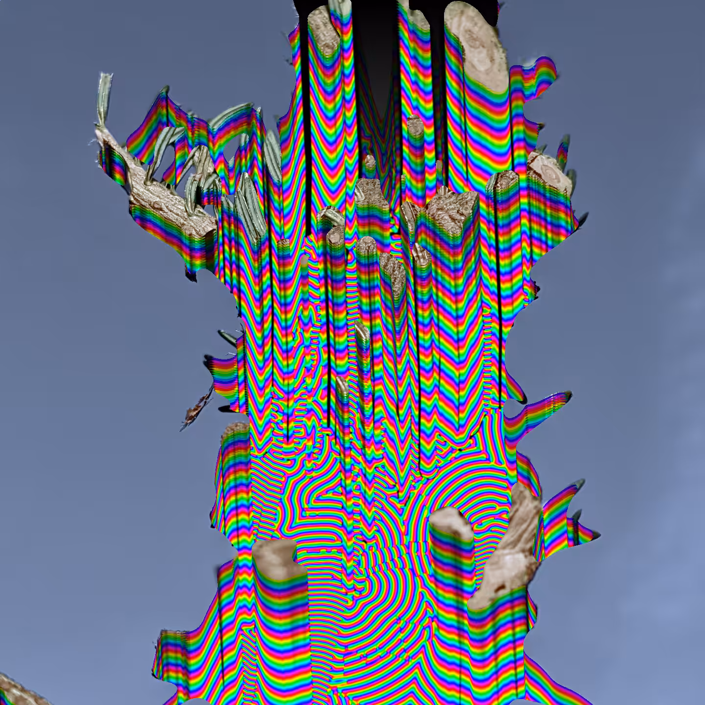 processed spruce.png four