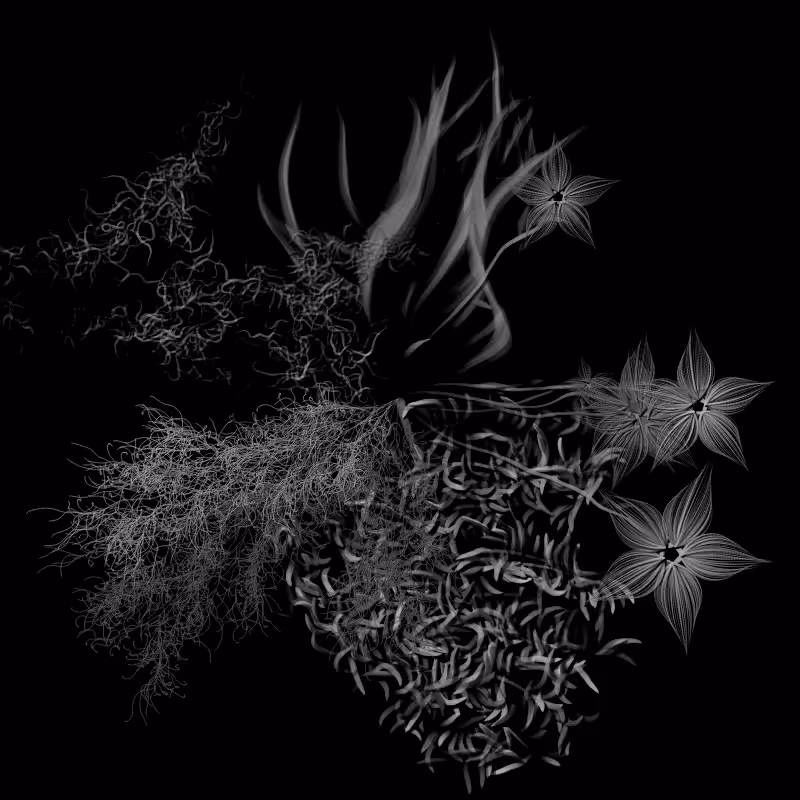 Botanical Ghosts #229