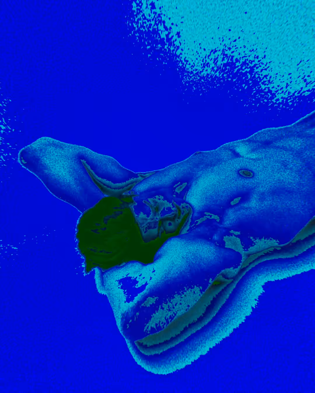 Sleep Paralysis