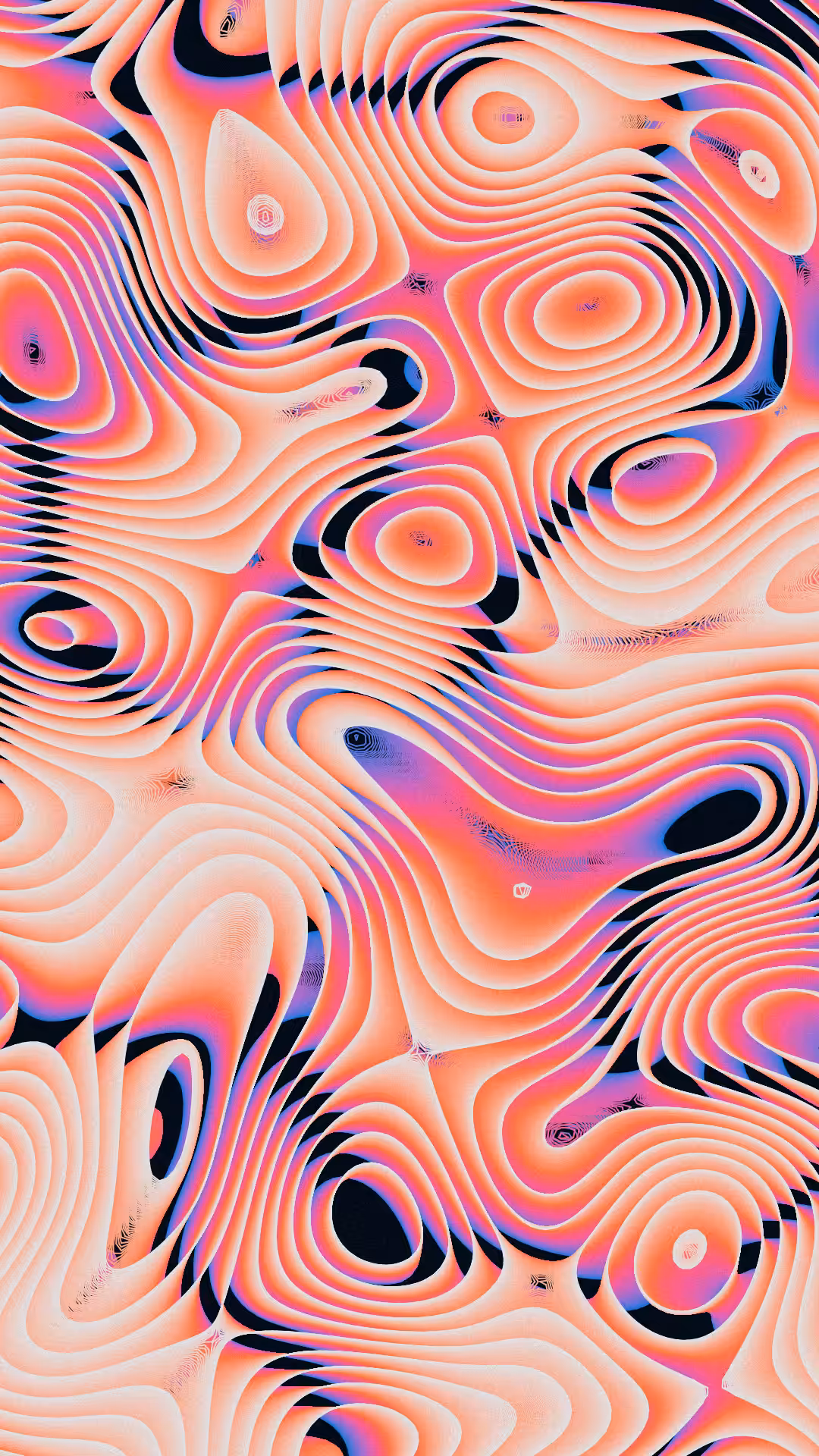 FLUID 2.0 #11