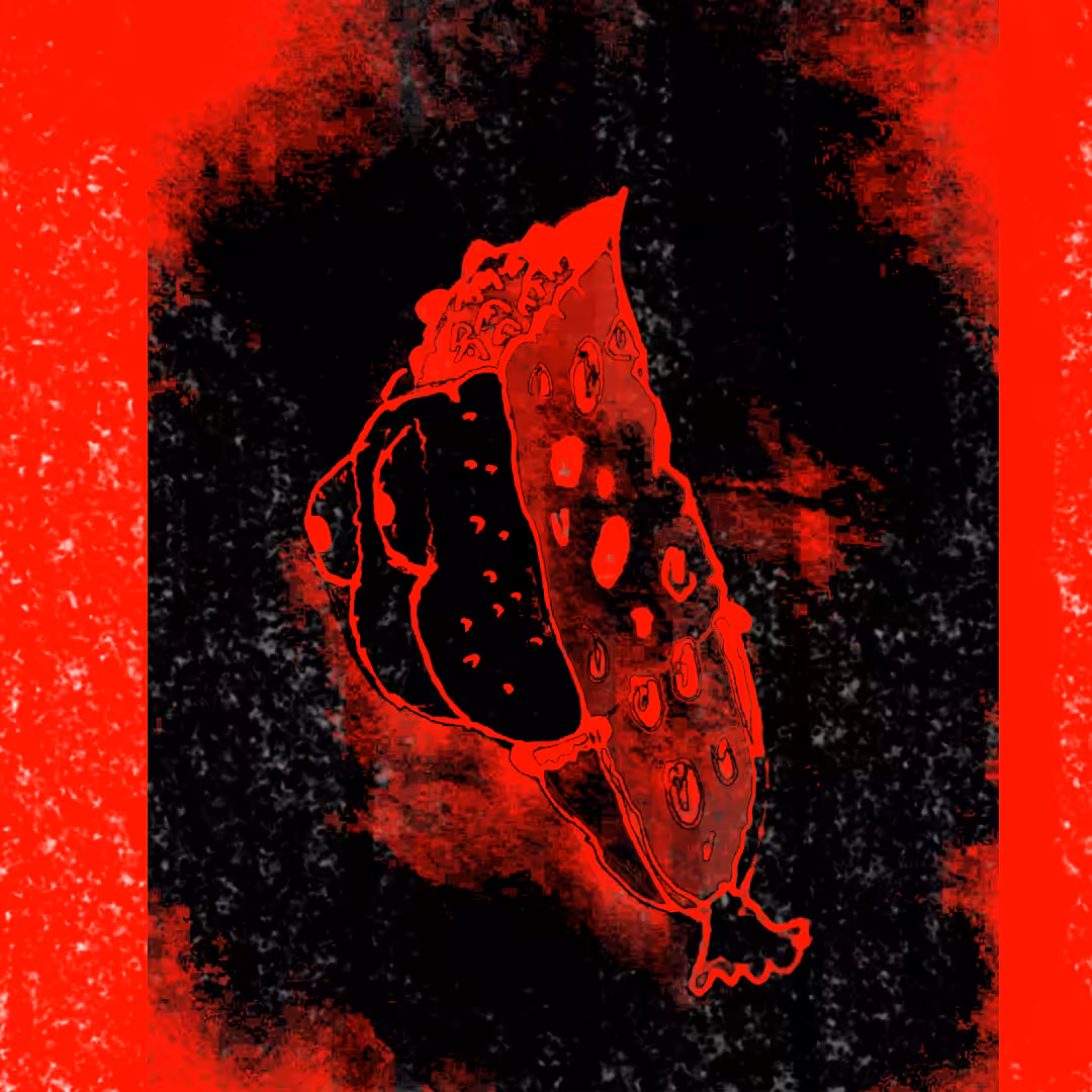Chicken Bread - Red In Black