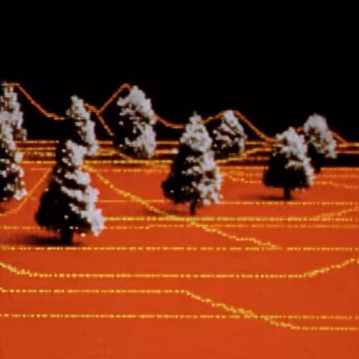 Forest for the Trees