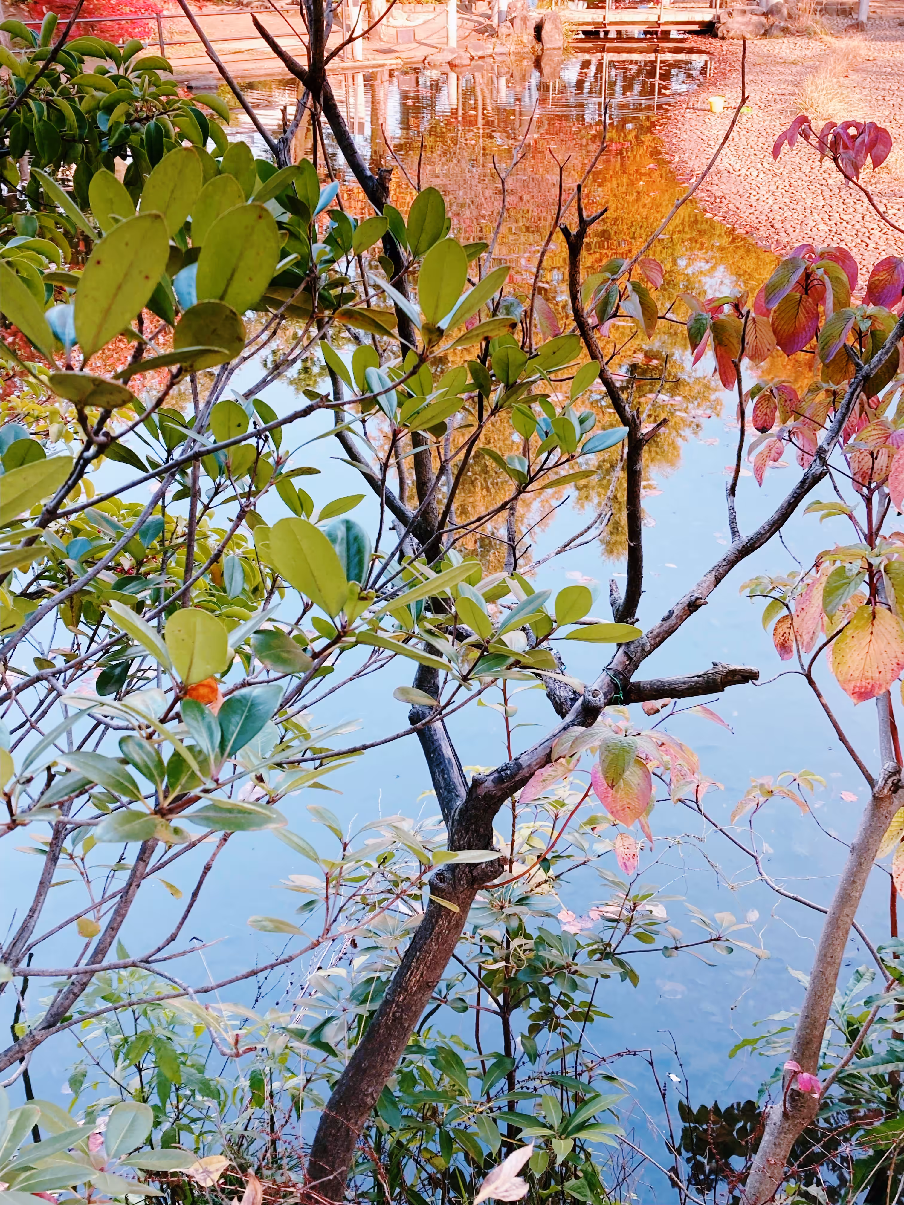 2022autumn 010