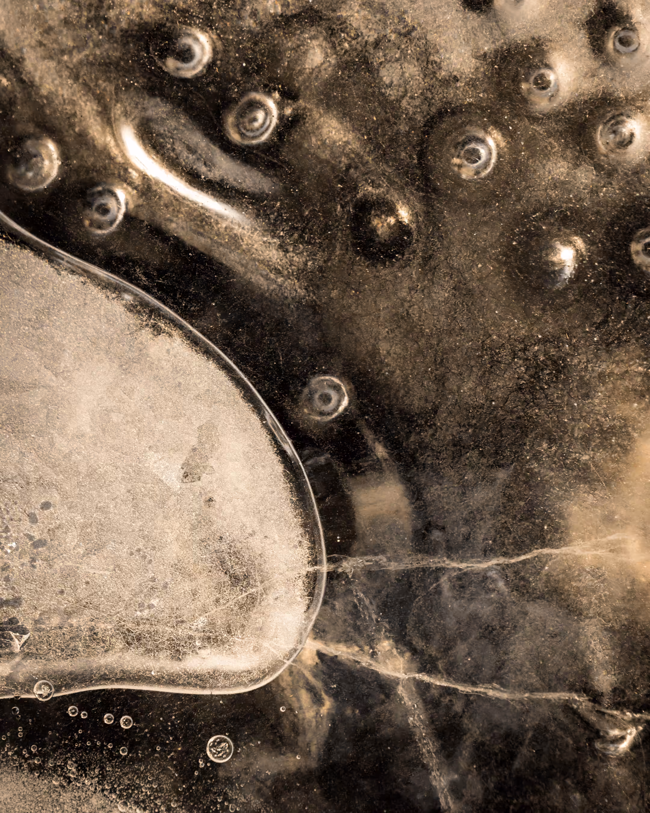 Elements #36 - Antibodies