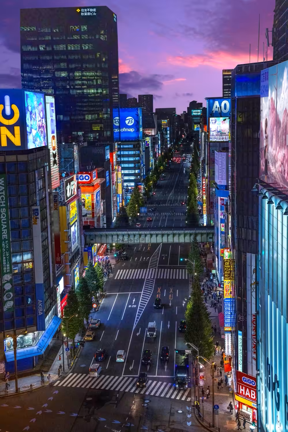 The Skies over Akihabara