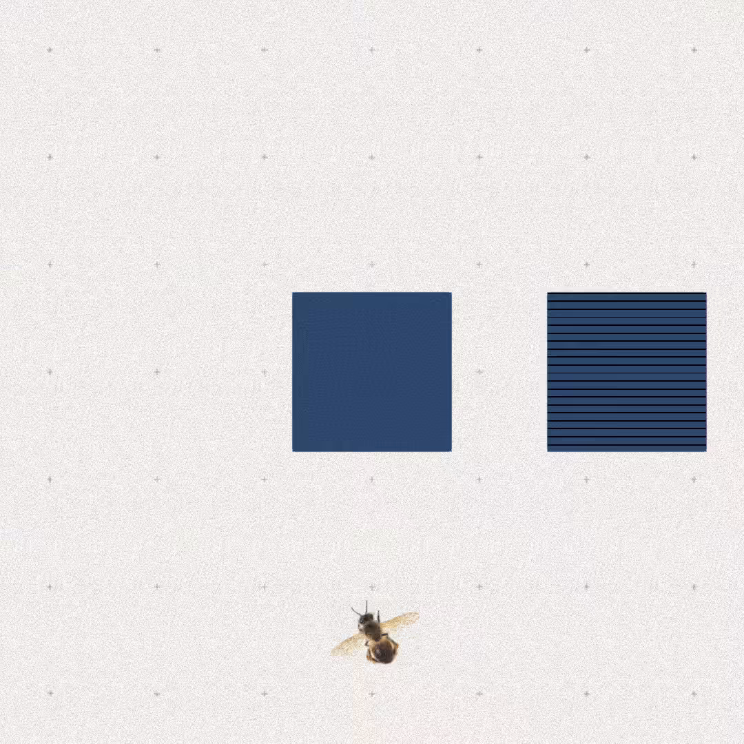 Bee #28
