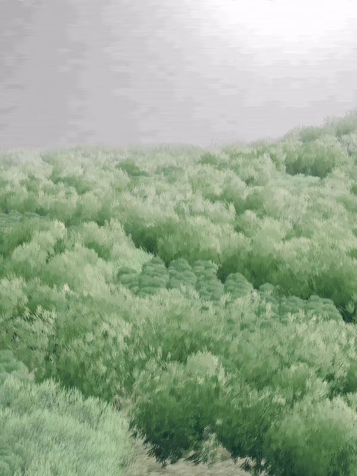 Provence #199