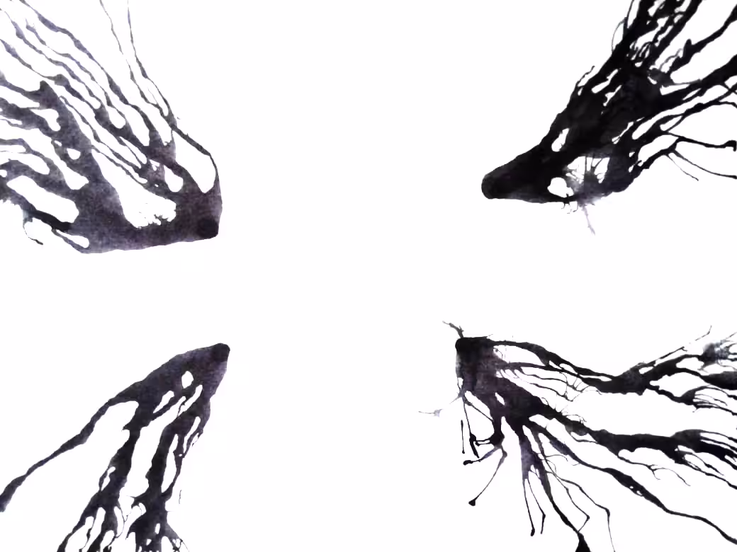 Dark Trails #8