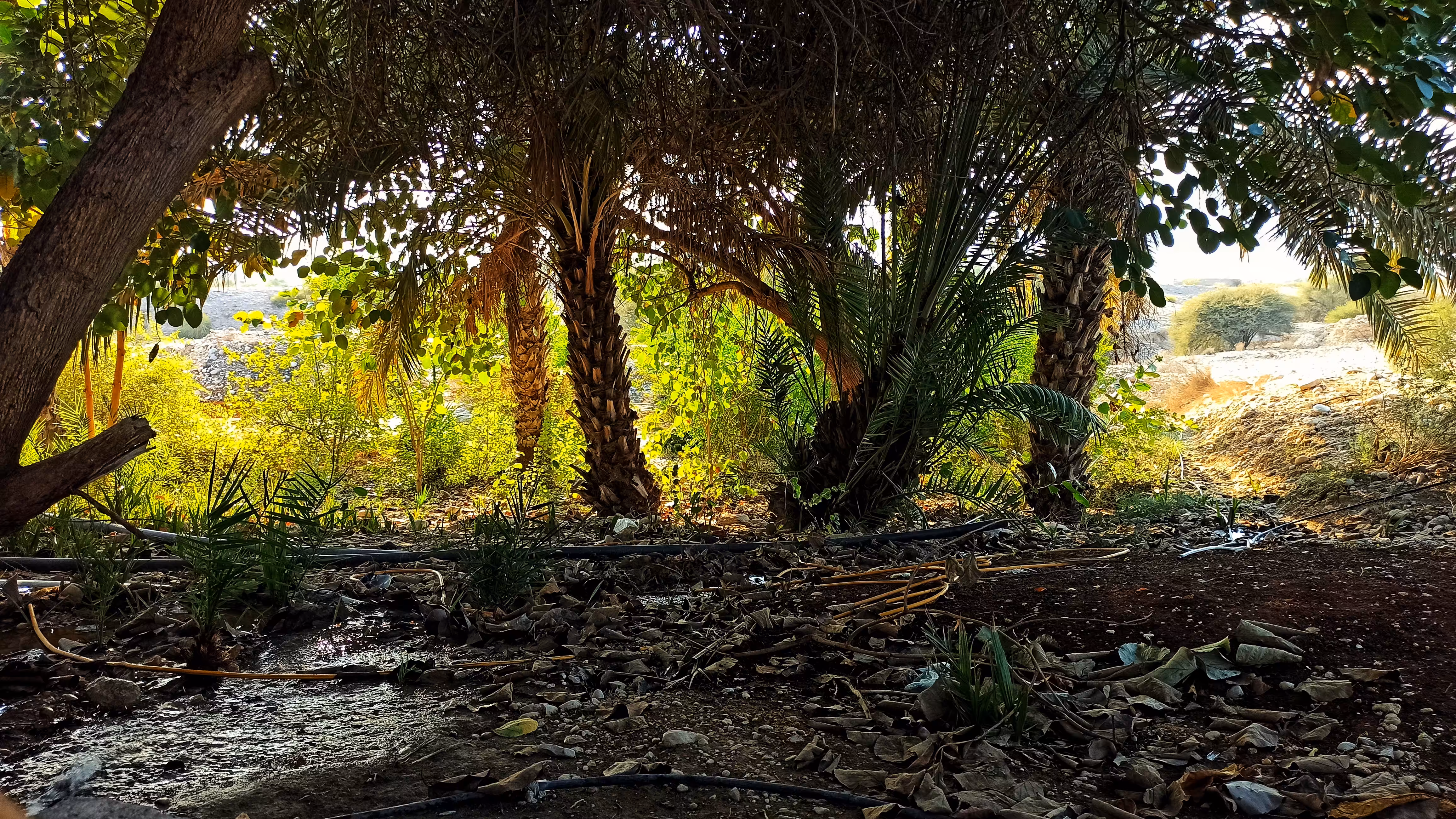 Daily  photography: Beautiful Nature