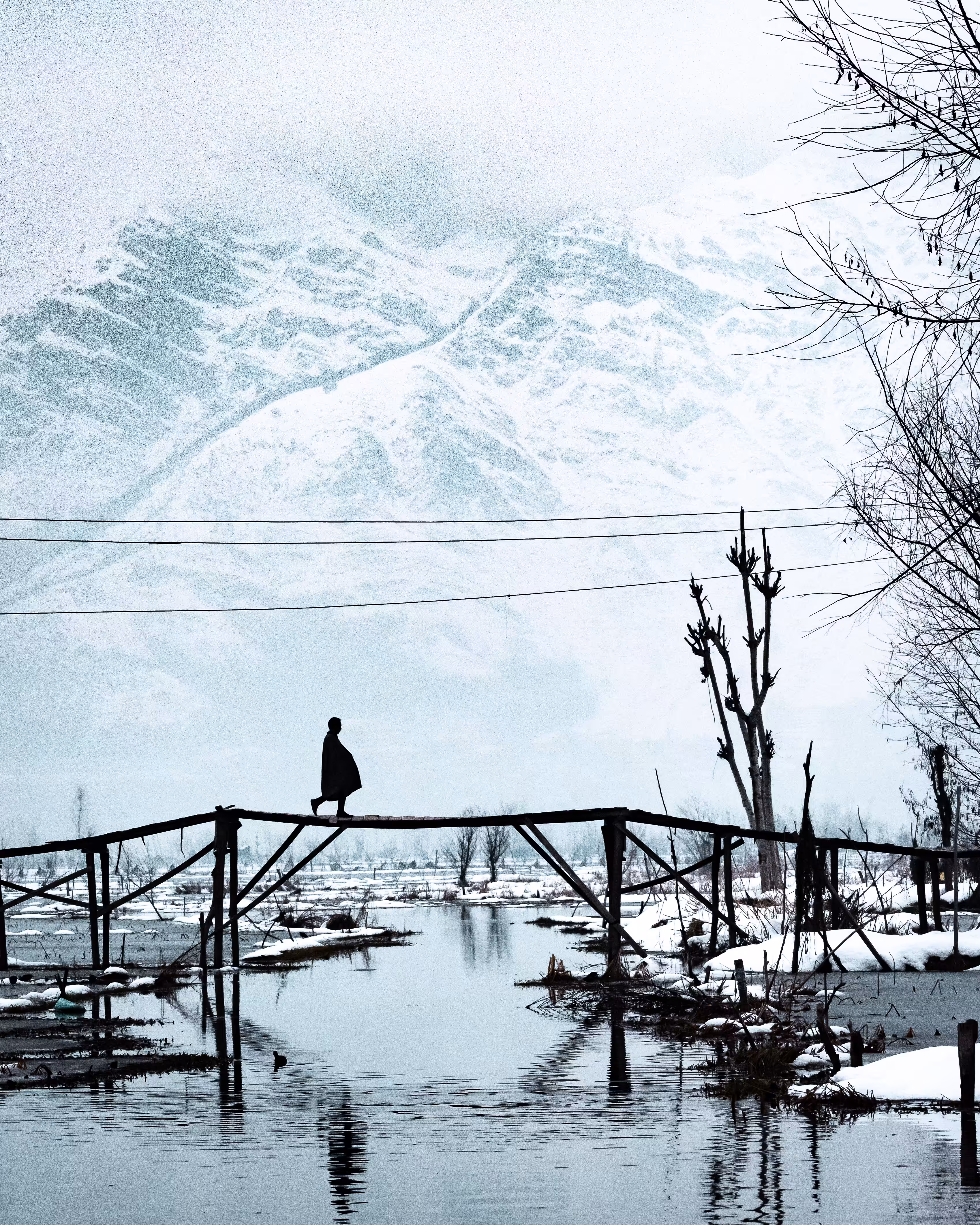 Winter Walk