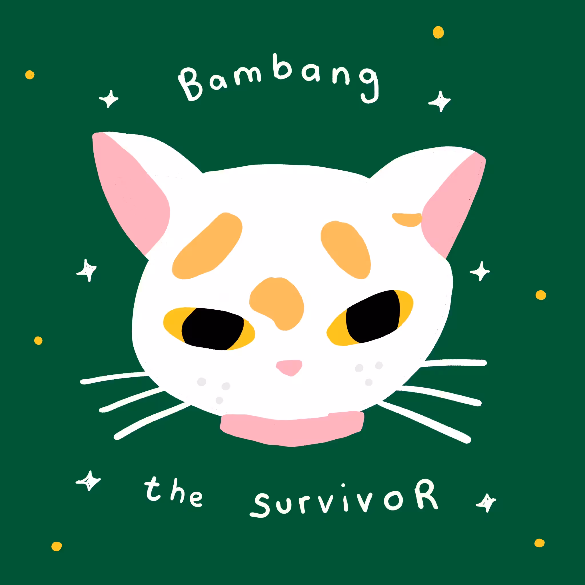 Our Cat Bambang is a Survivor