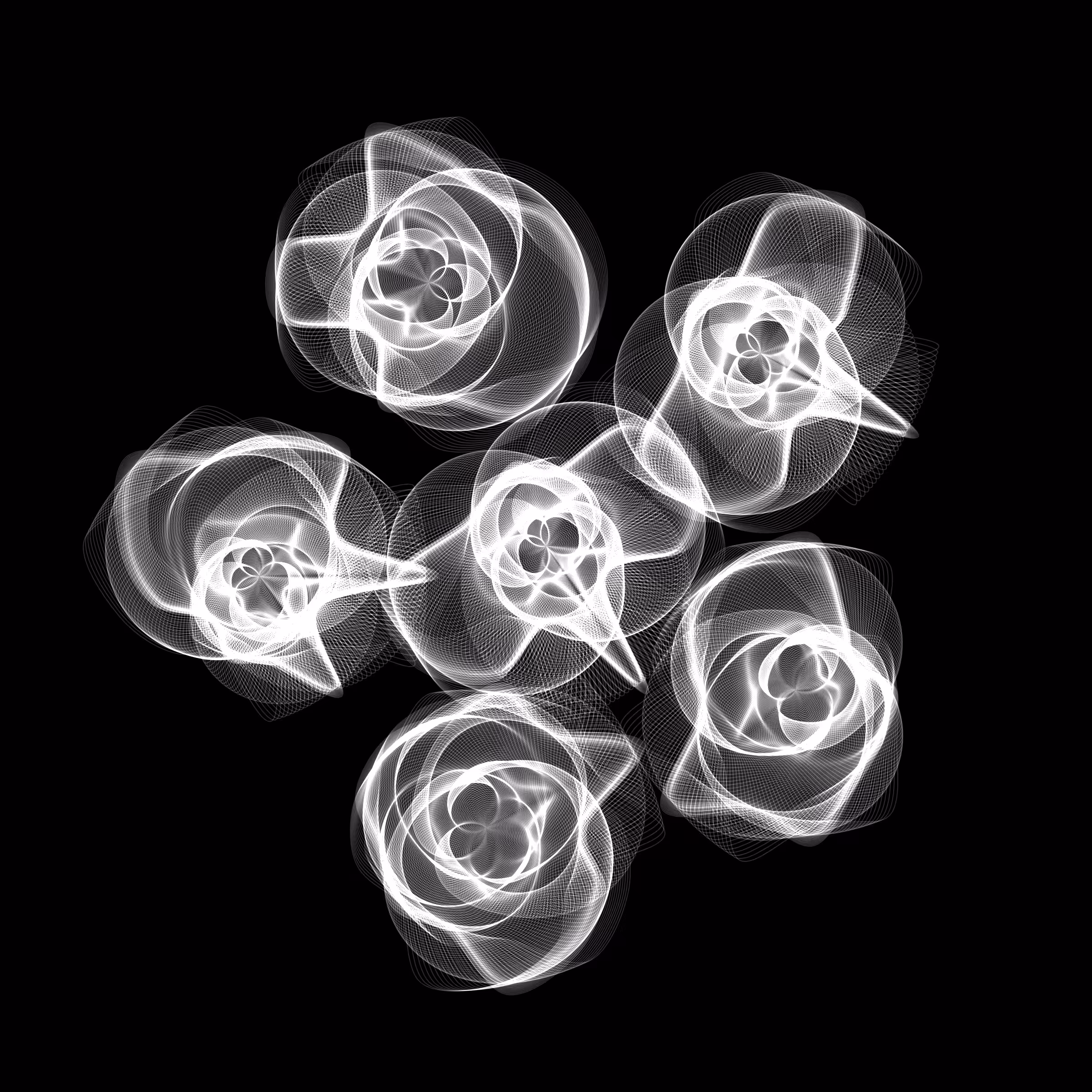 Flowers #5289