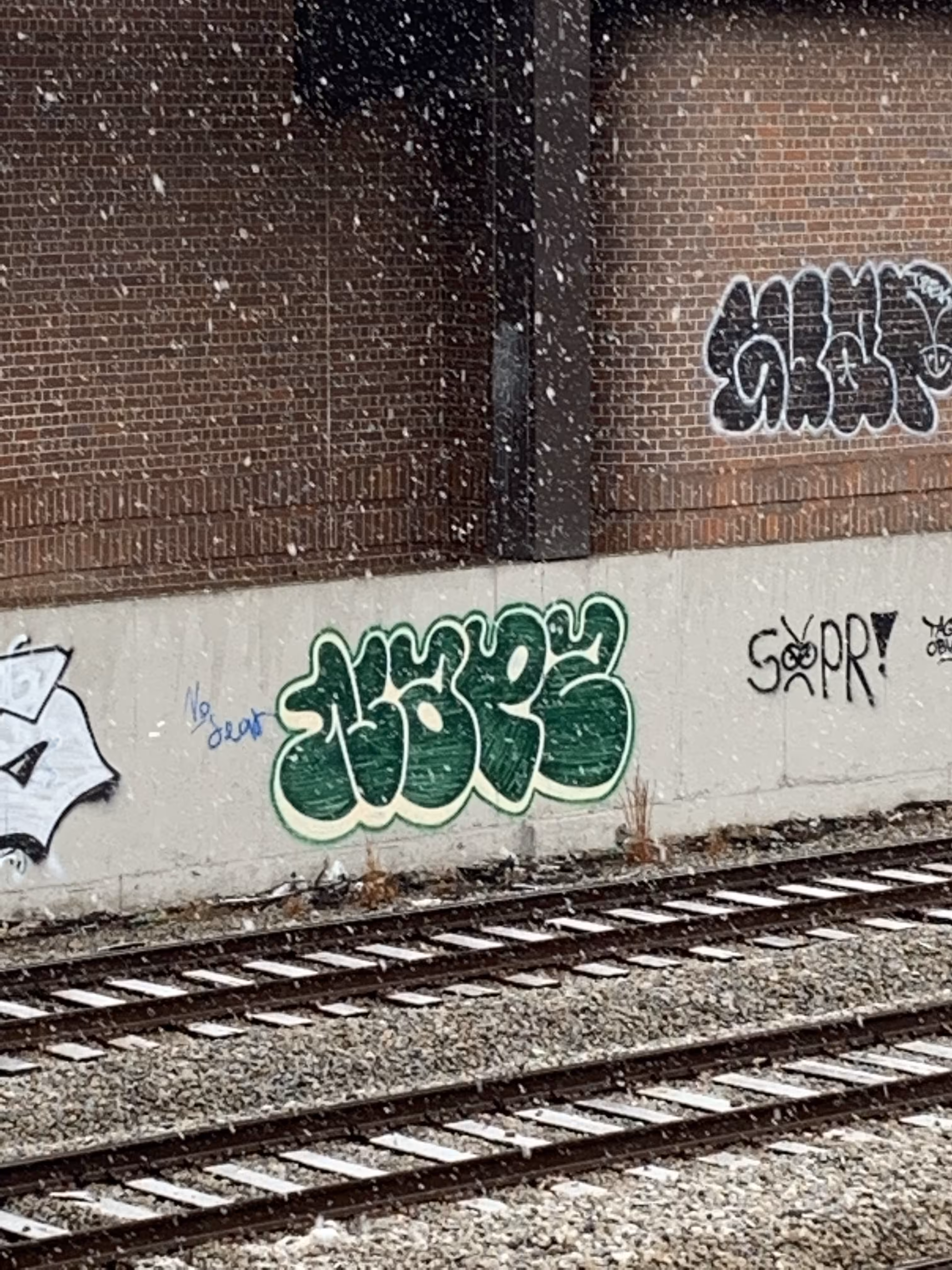 NAPZ
