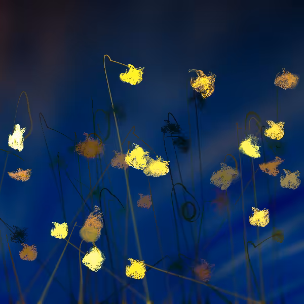 Cottongrass #28