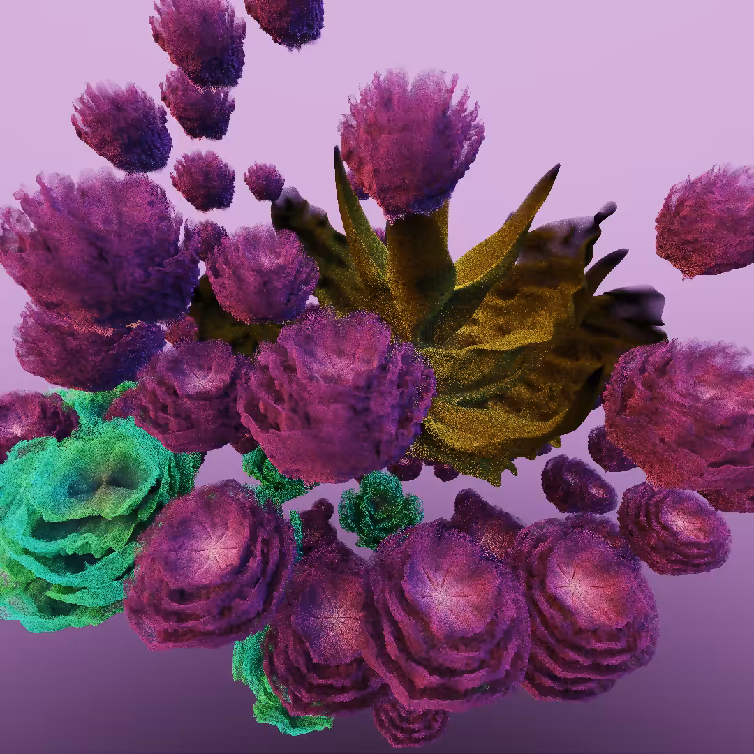 rosarium #97