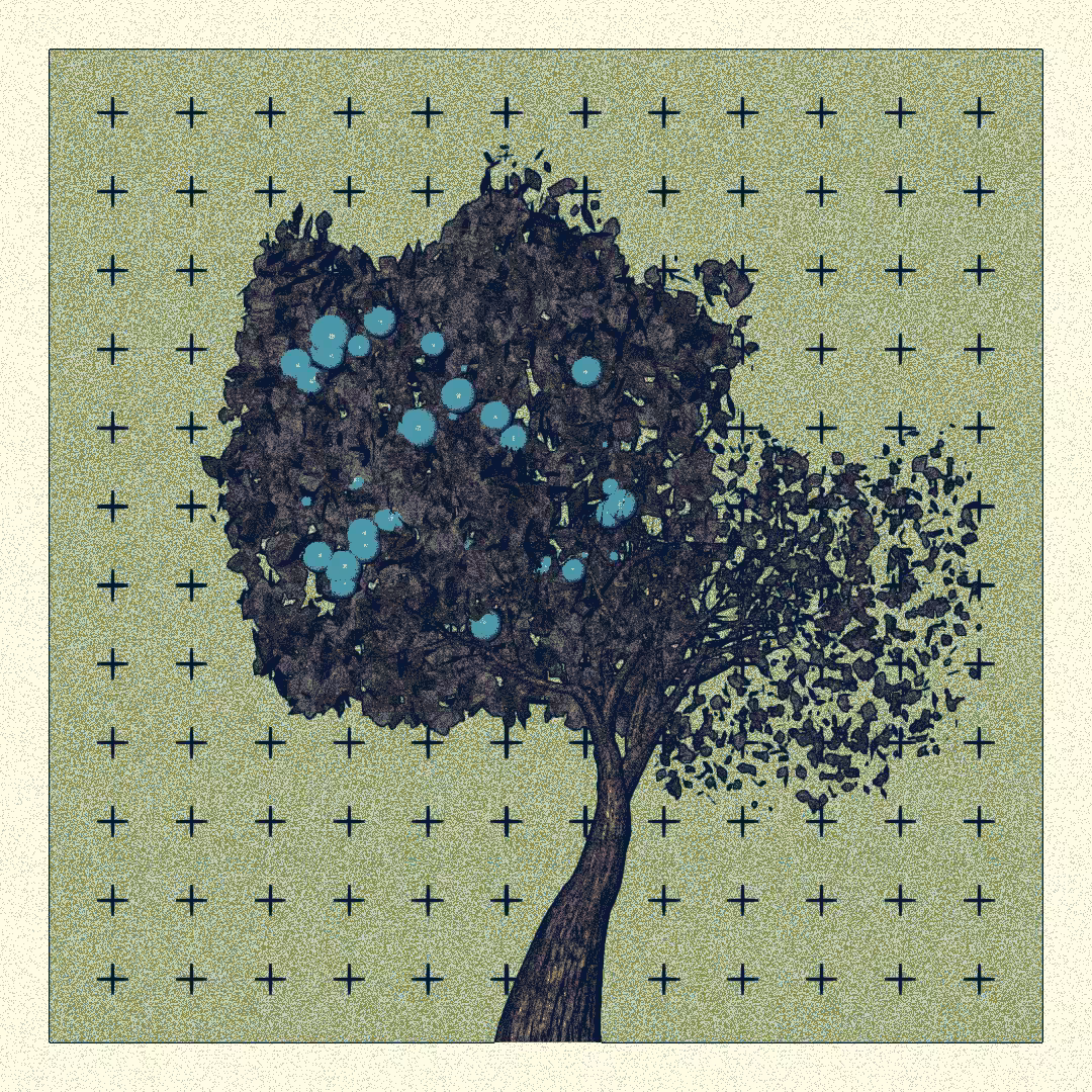 _argania[primaria] #202