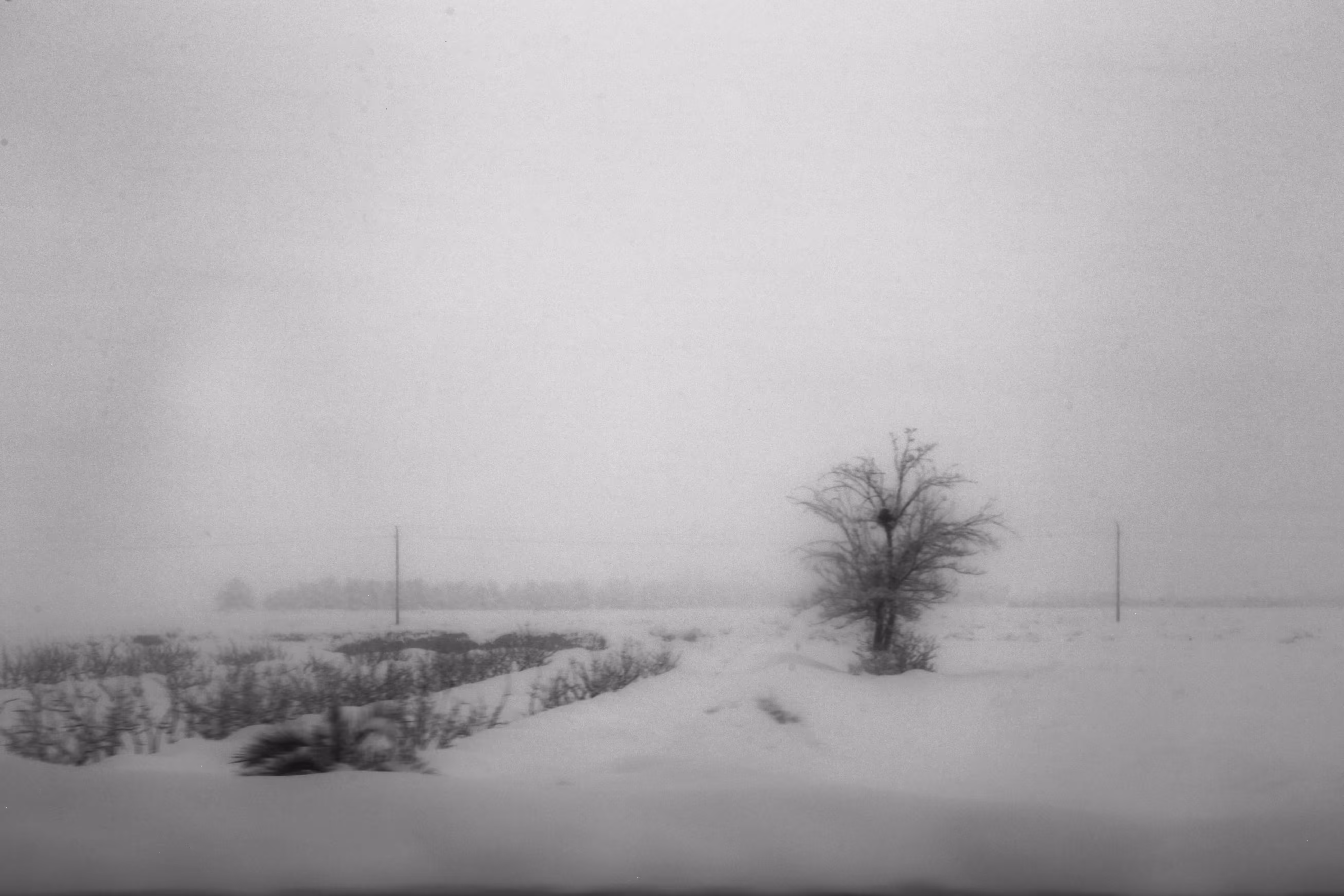Traces in White