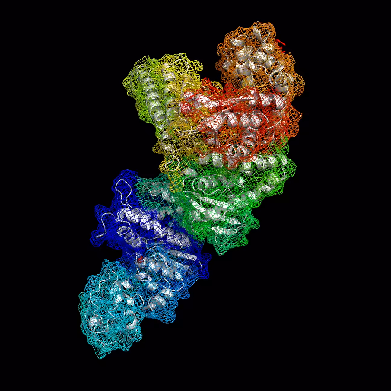 Prime Time – Taq polymerase guts