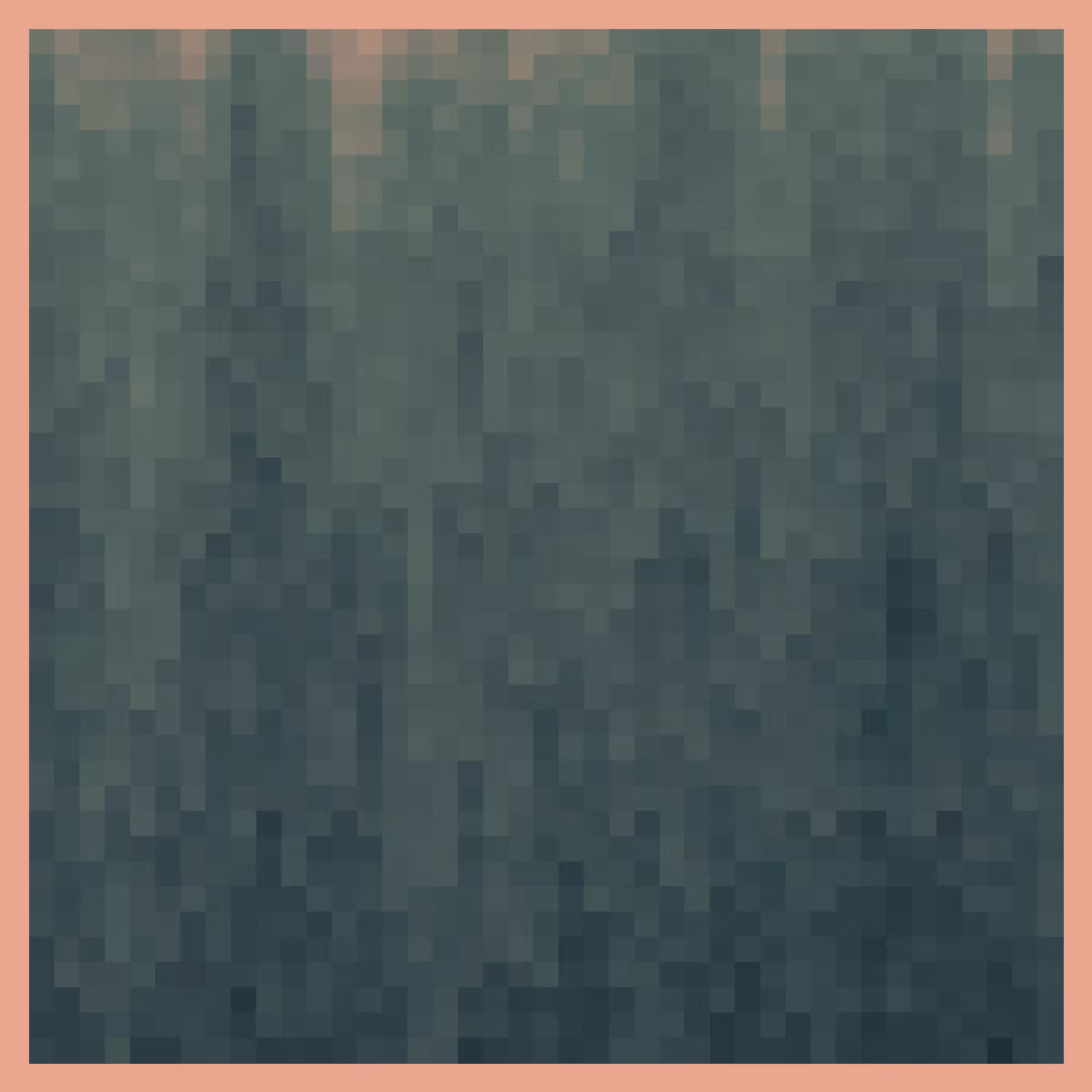 High Tide #178