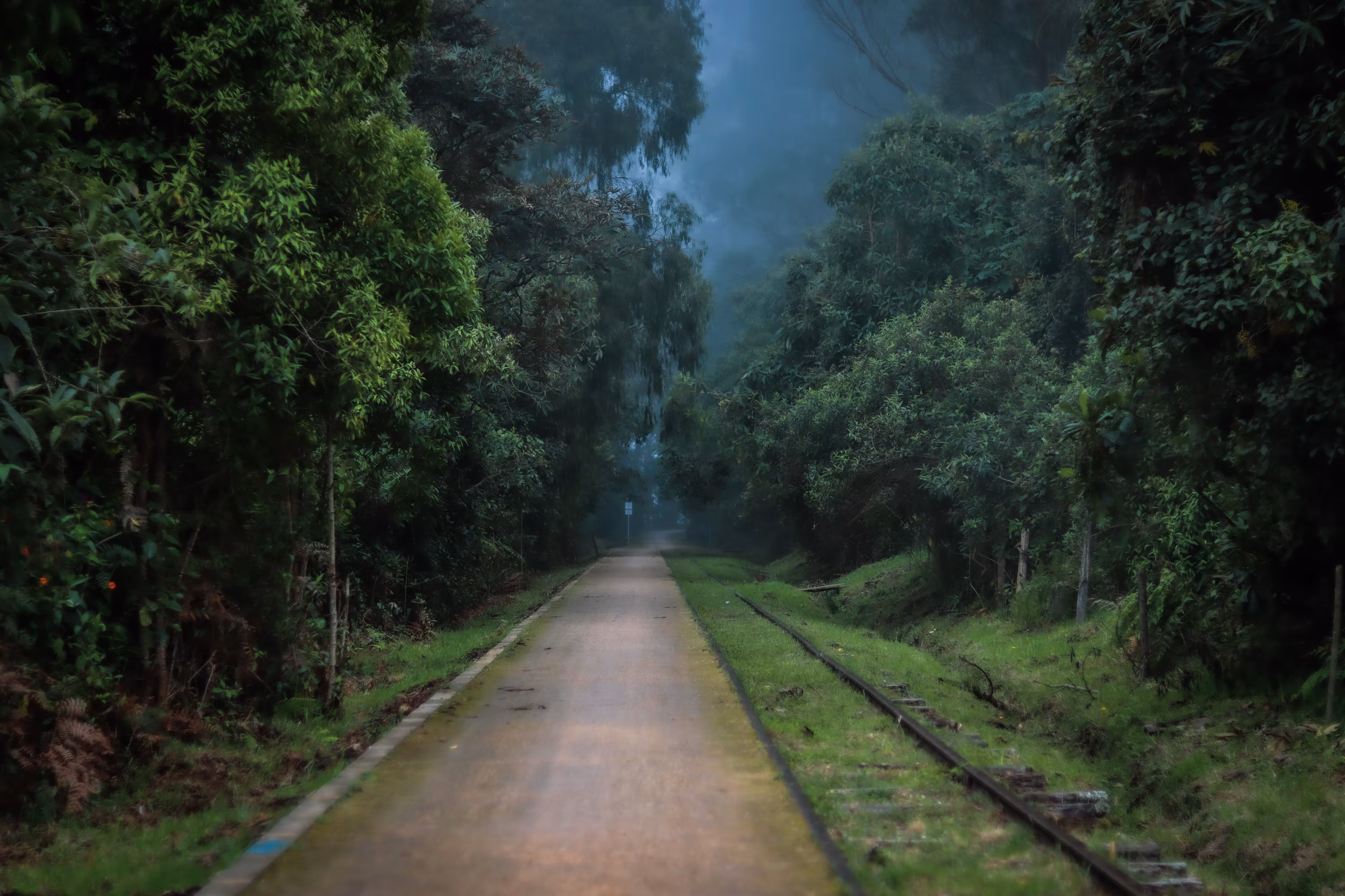 Path of Silence