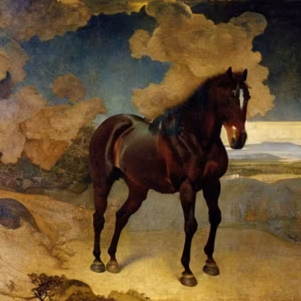 Arab horse inherent