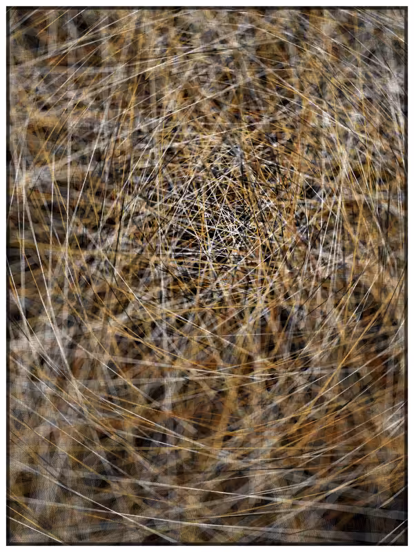 Haystack in a Needle #46