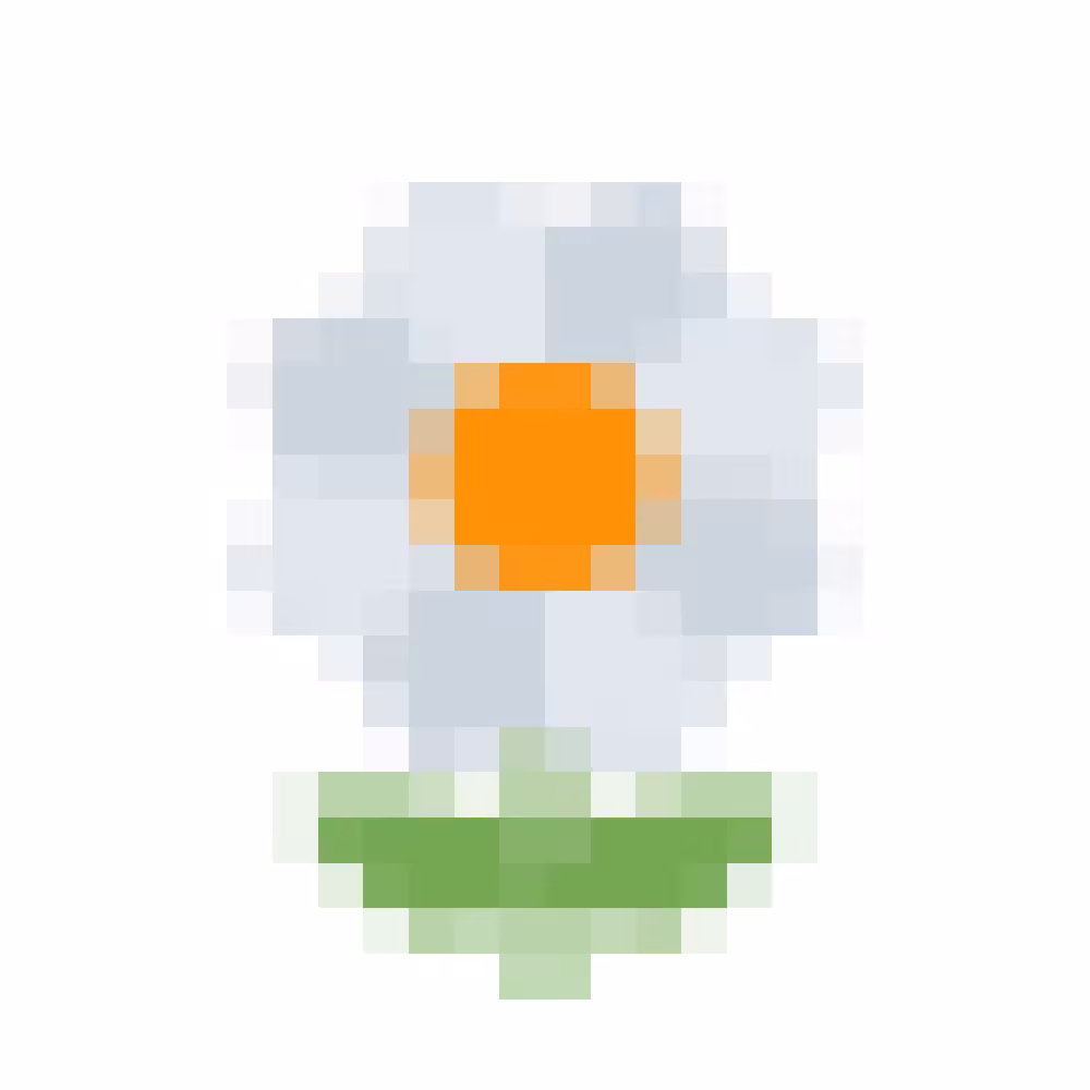🌼