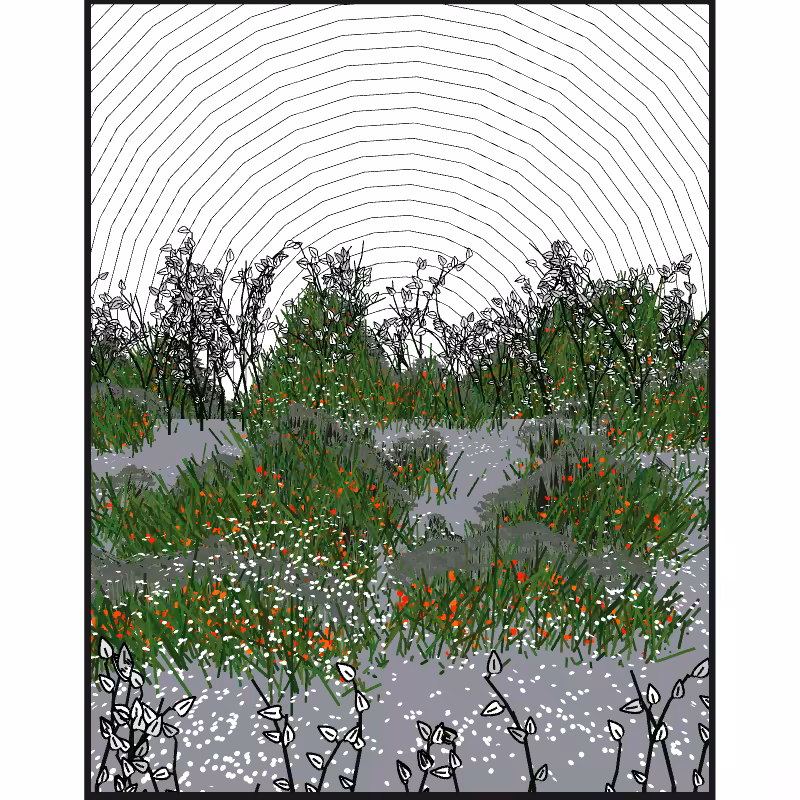 Contours #52