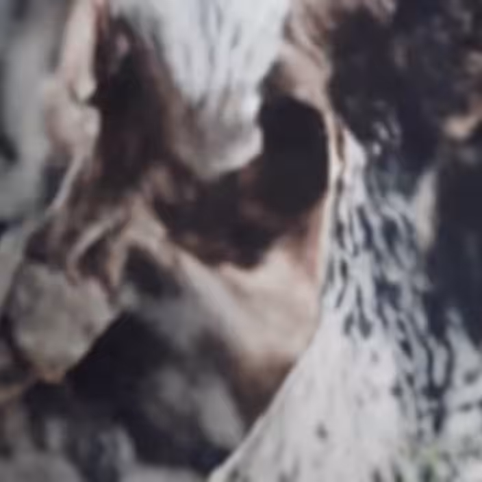 Death as a Child 18