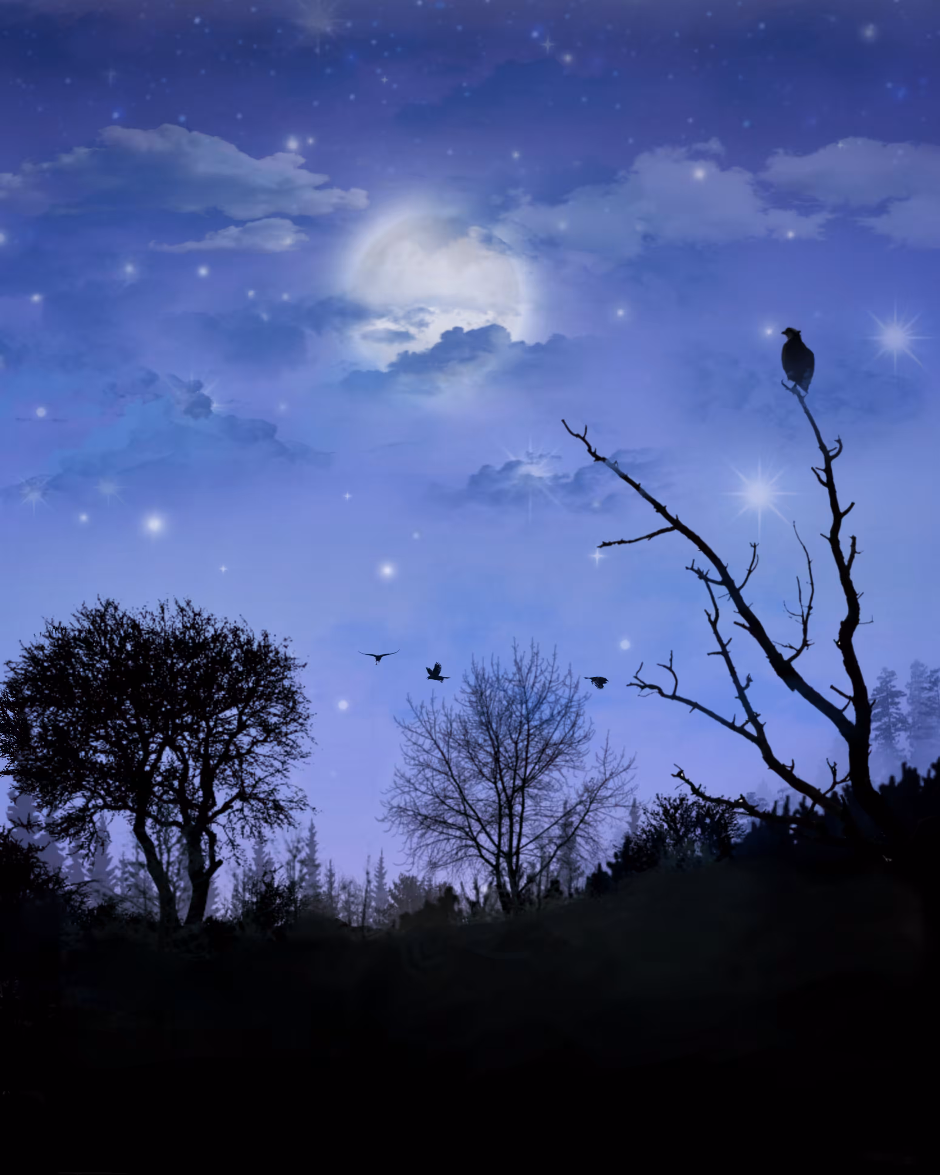 The night (1)