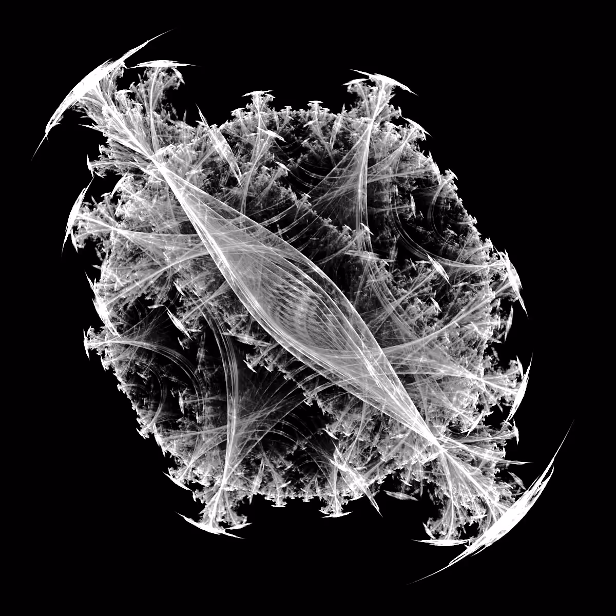 Fossil 