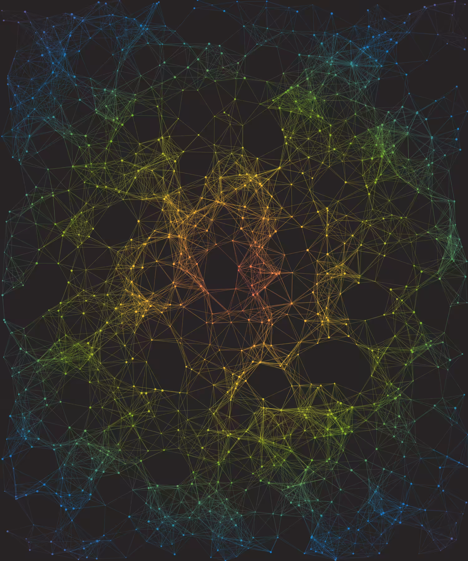 Mirror Node