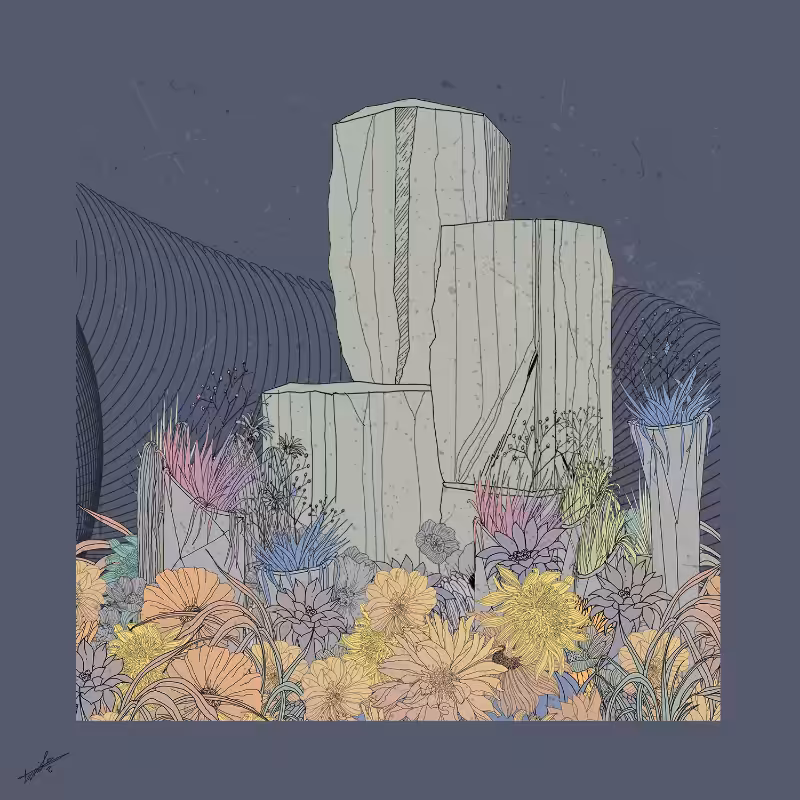 Garden of Lines #Rocks_Blooms #38
