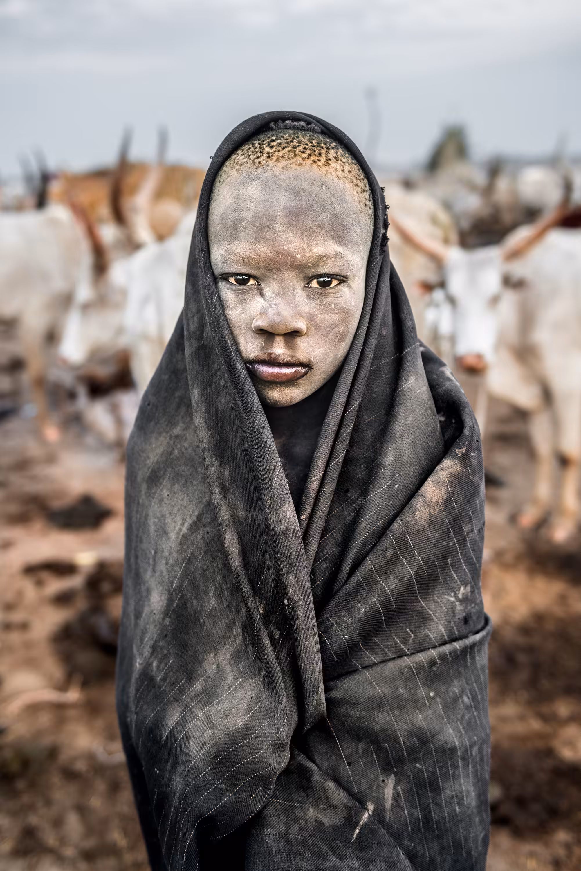 Wrapped in the Dust #81