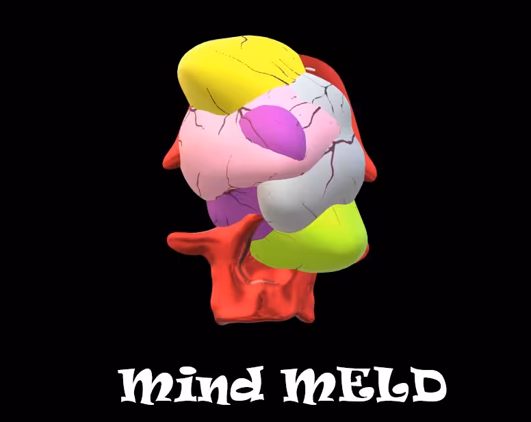 Mind-Meld