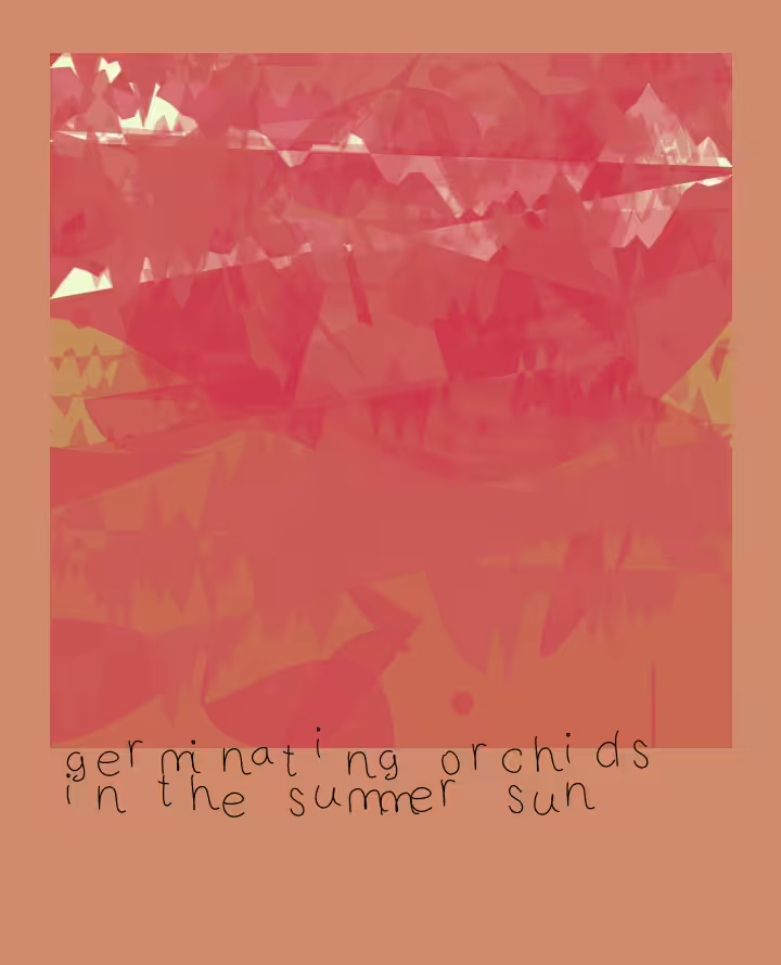 "Polaroids" #62