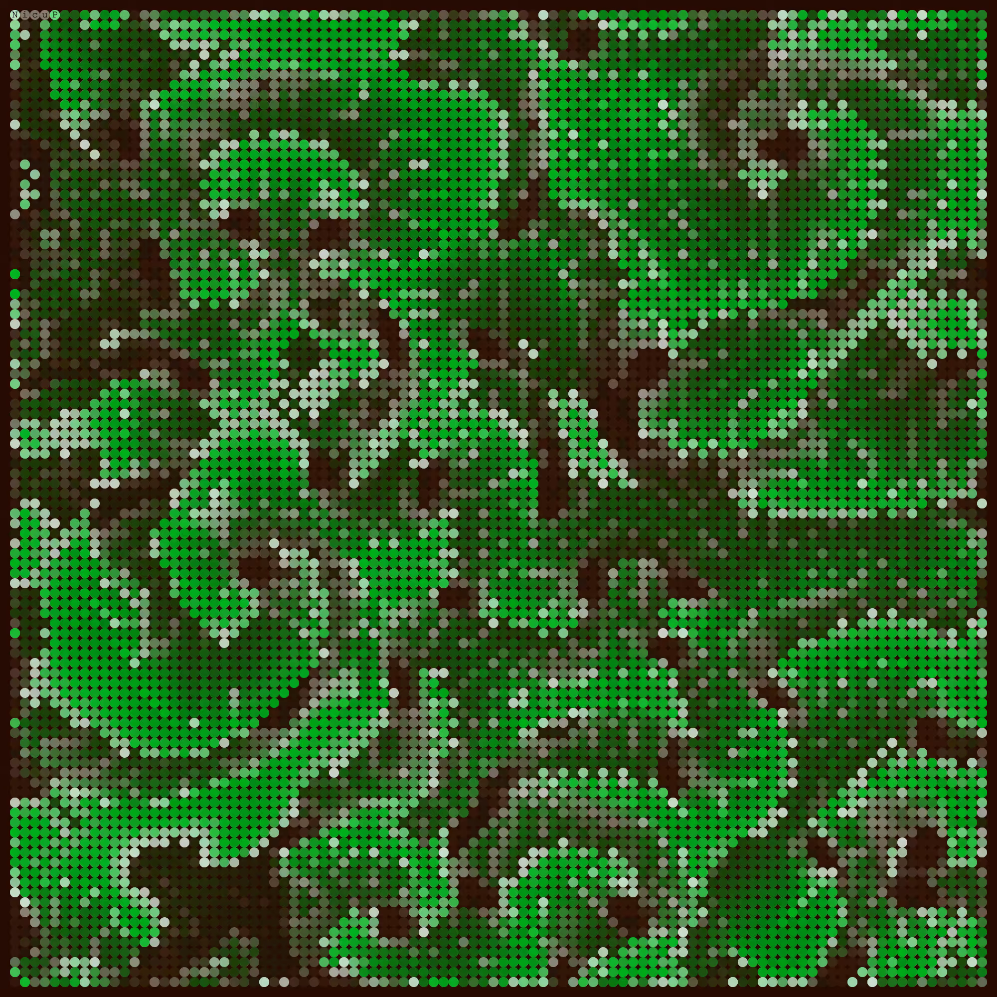 Chlorophyll