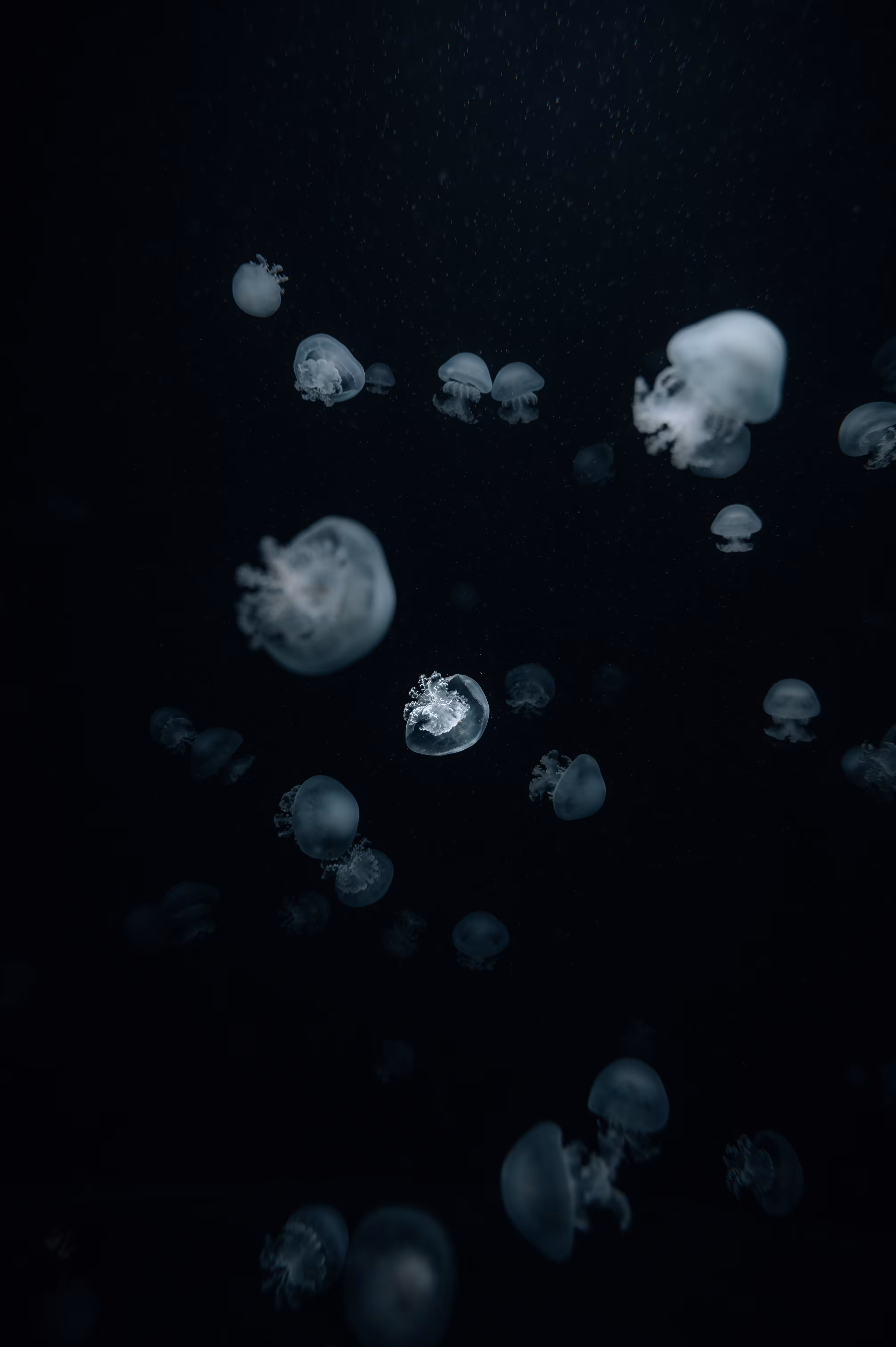 Under The Horizon, #3