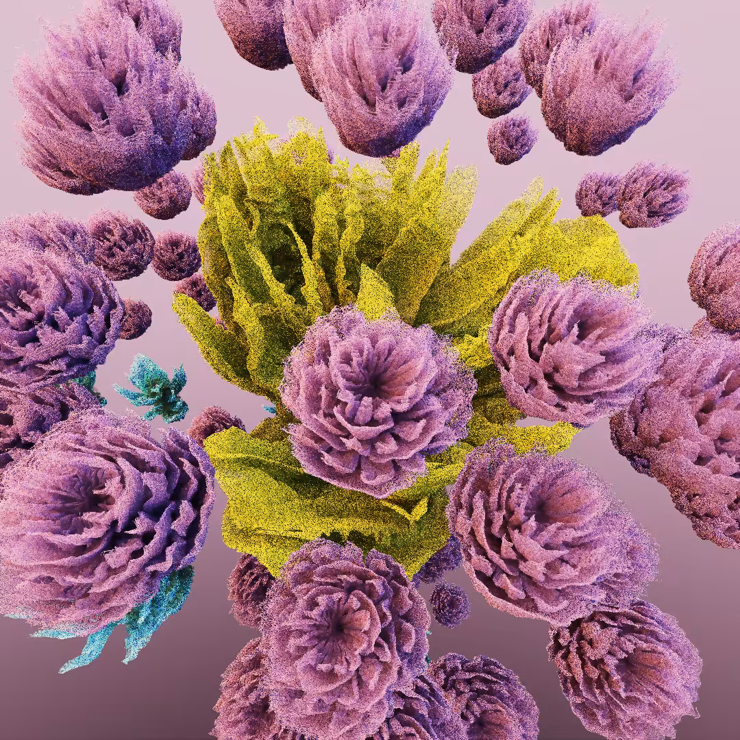 rosarium #56