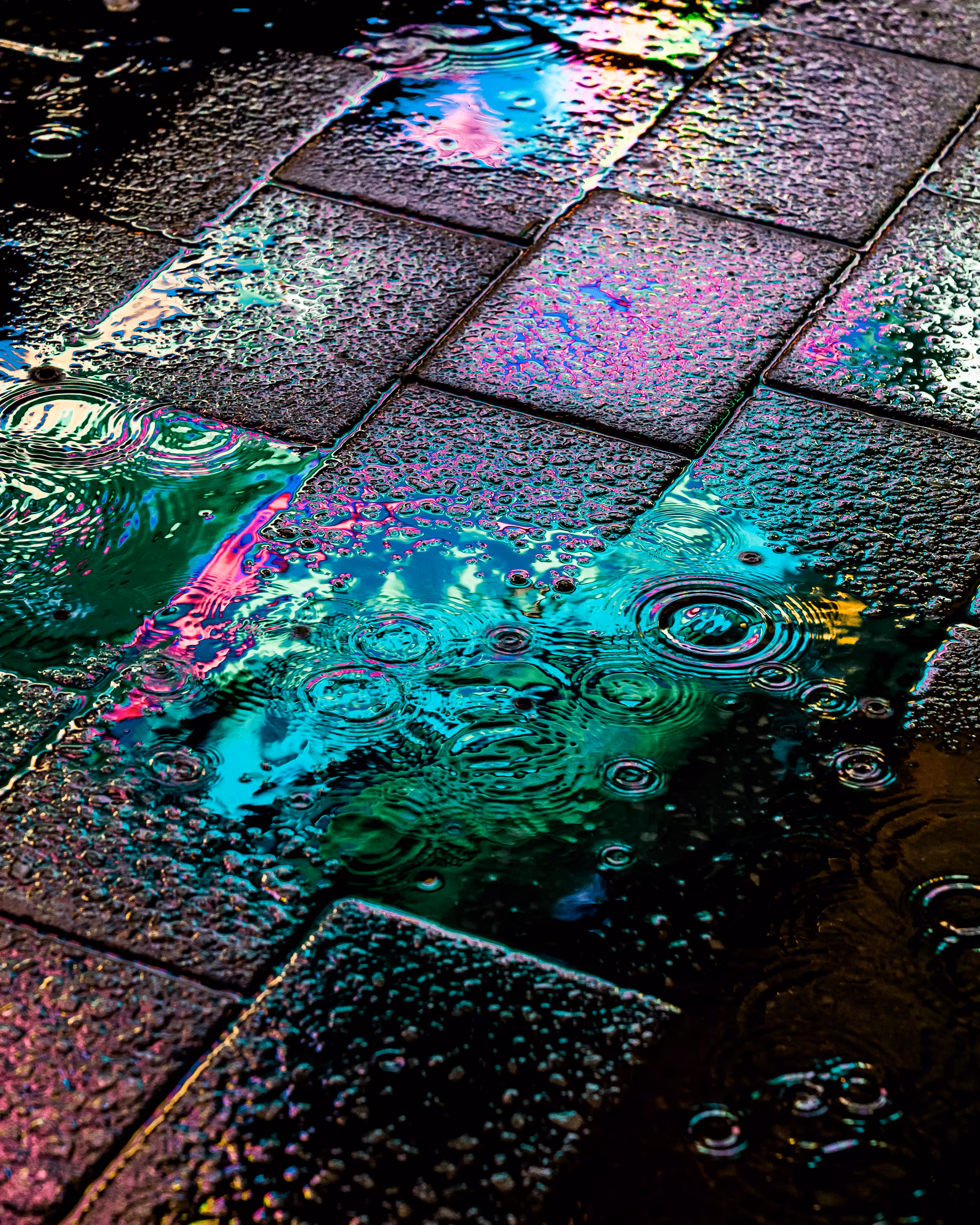 DRIP #5: WAVE