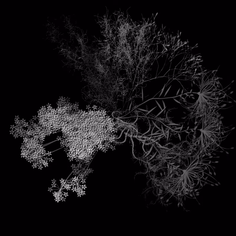 Botanical Ghosts #344