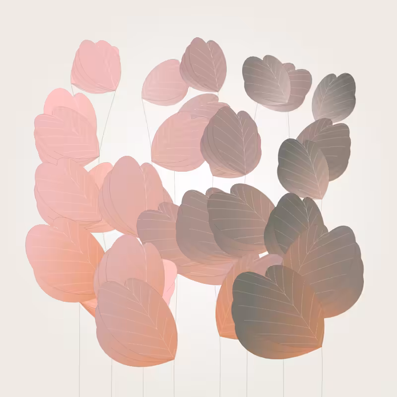 Colorleaves