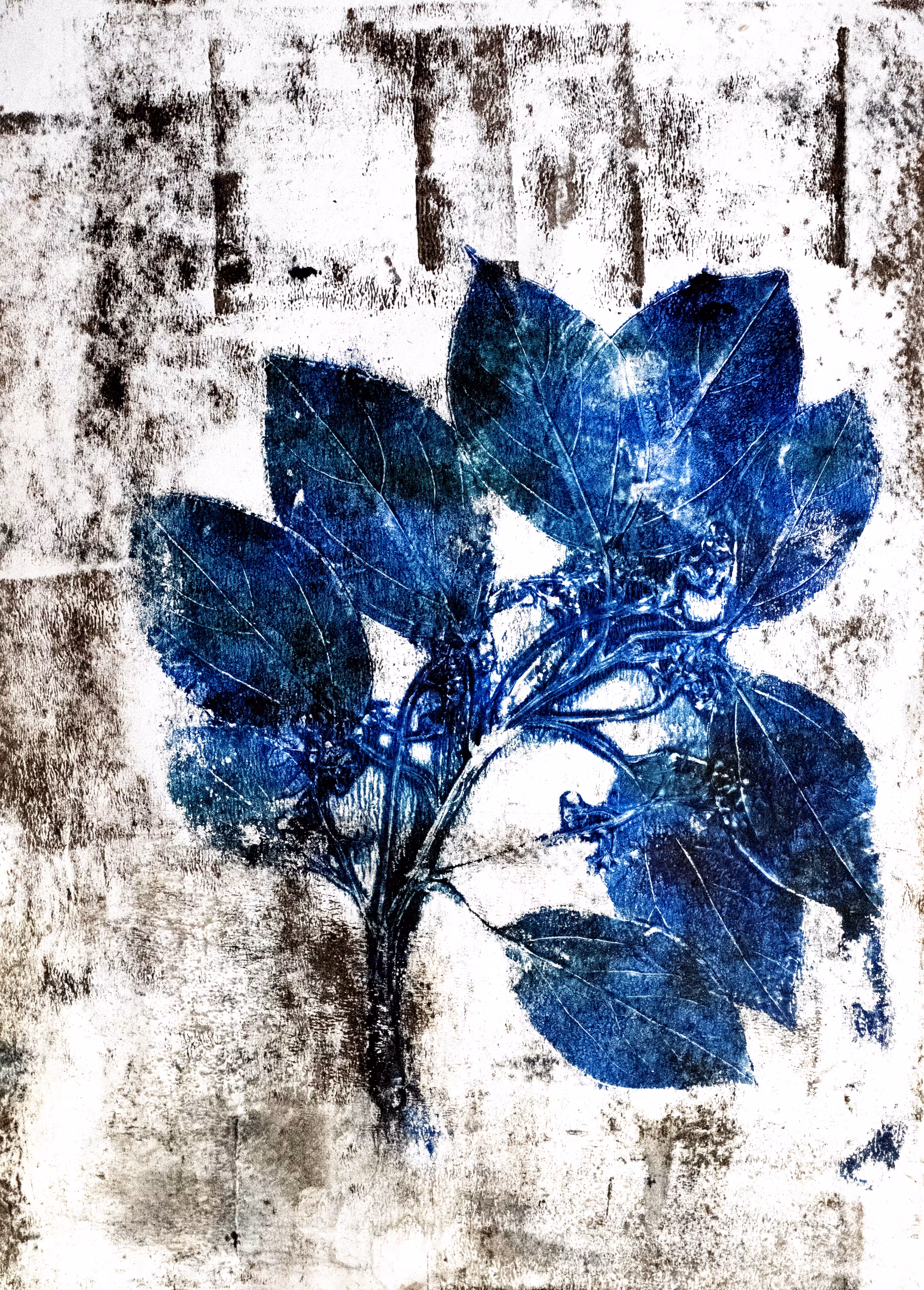 Monotype 64 - Camphor