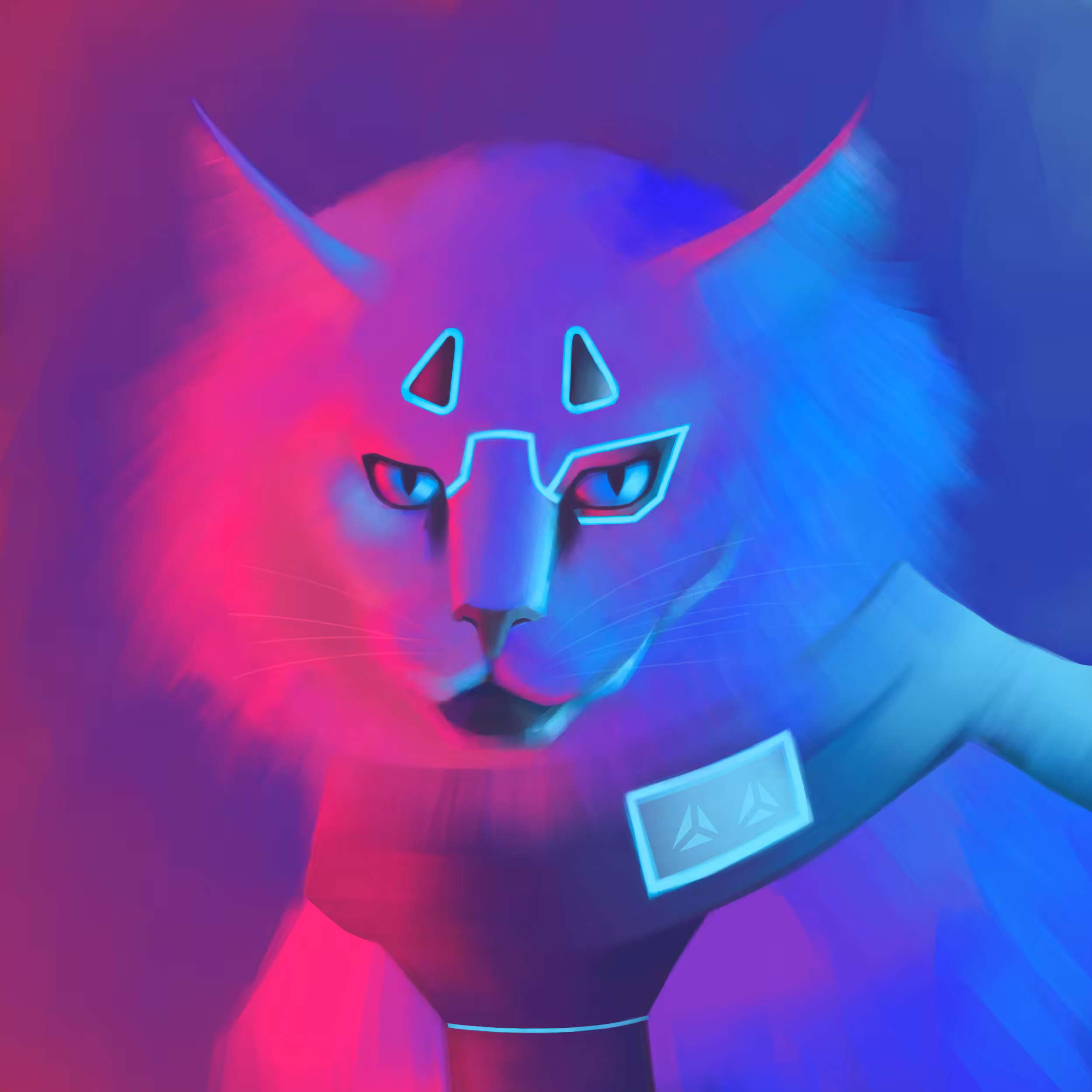 Maine Coon #2SSA