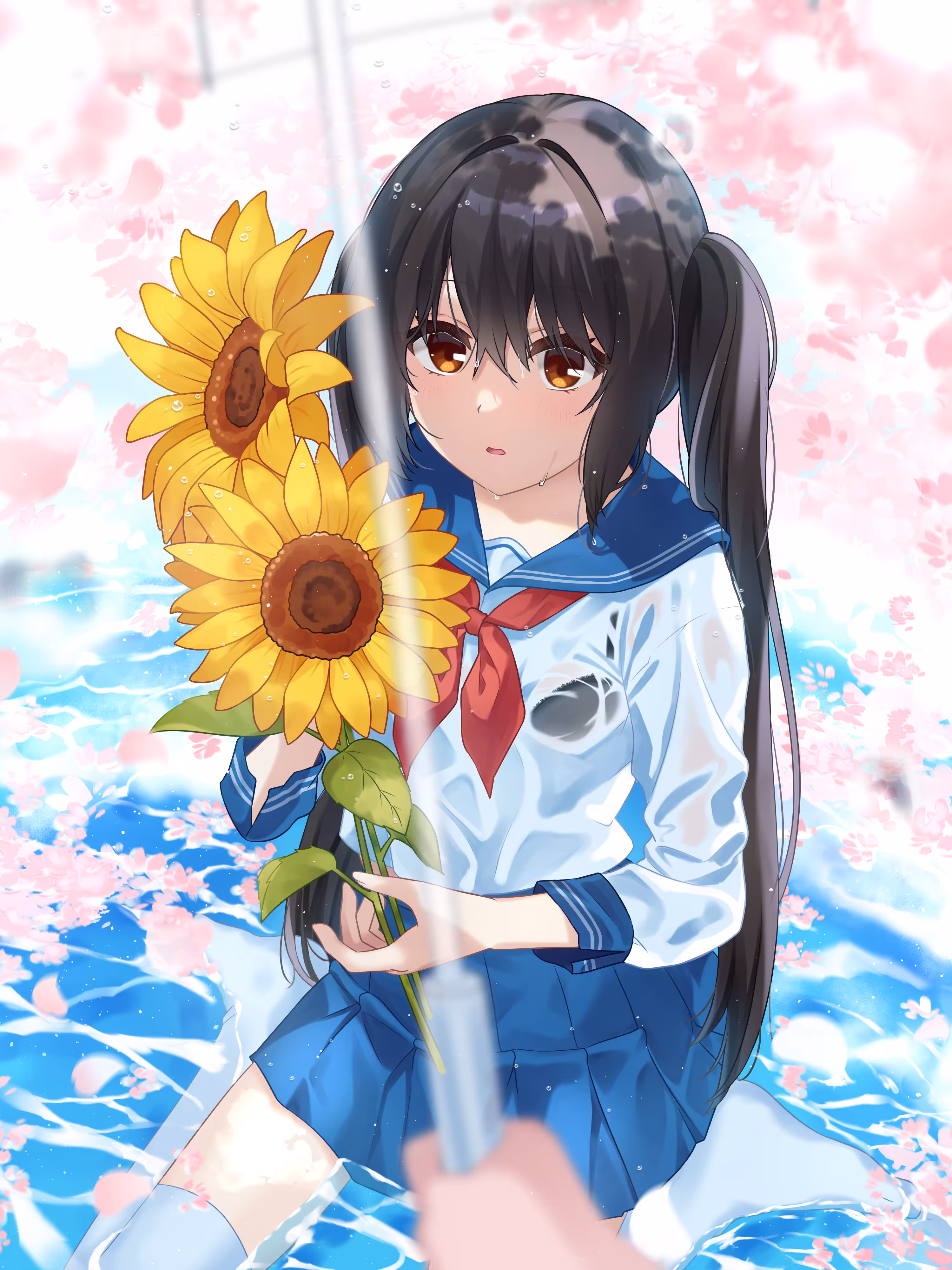 🌻🌸