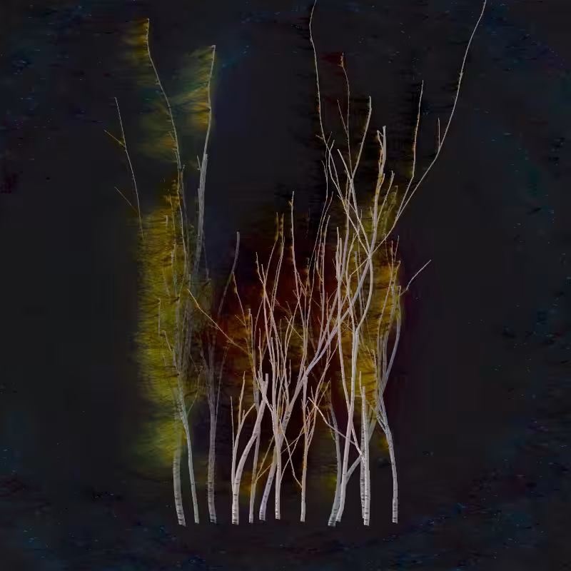 Grove #39