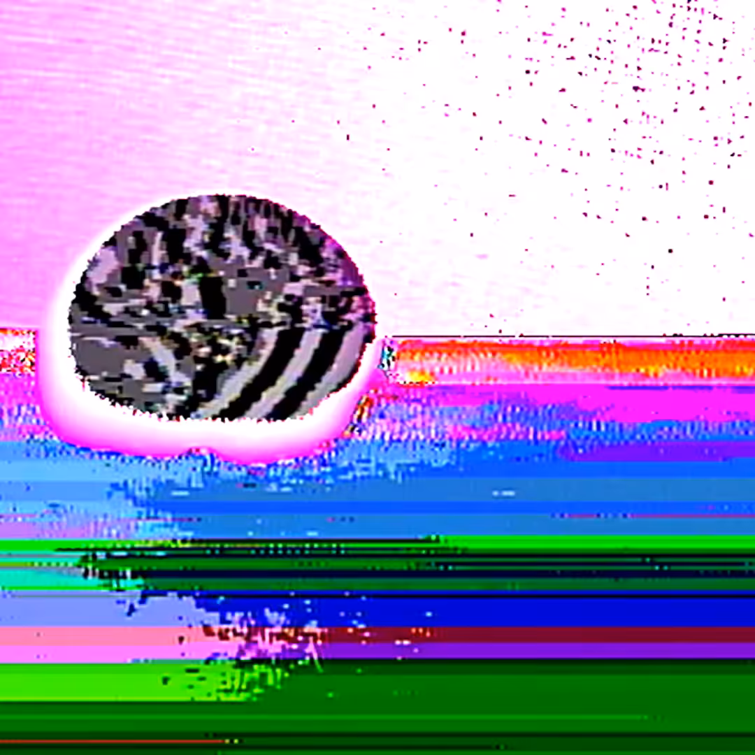 Orbfeeder