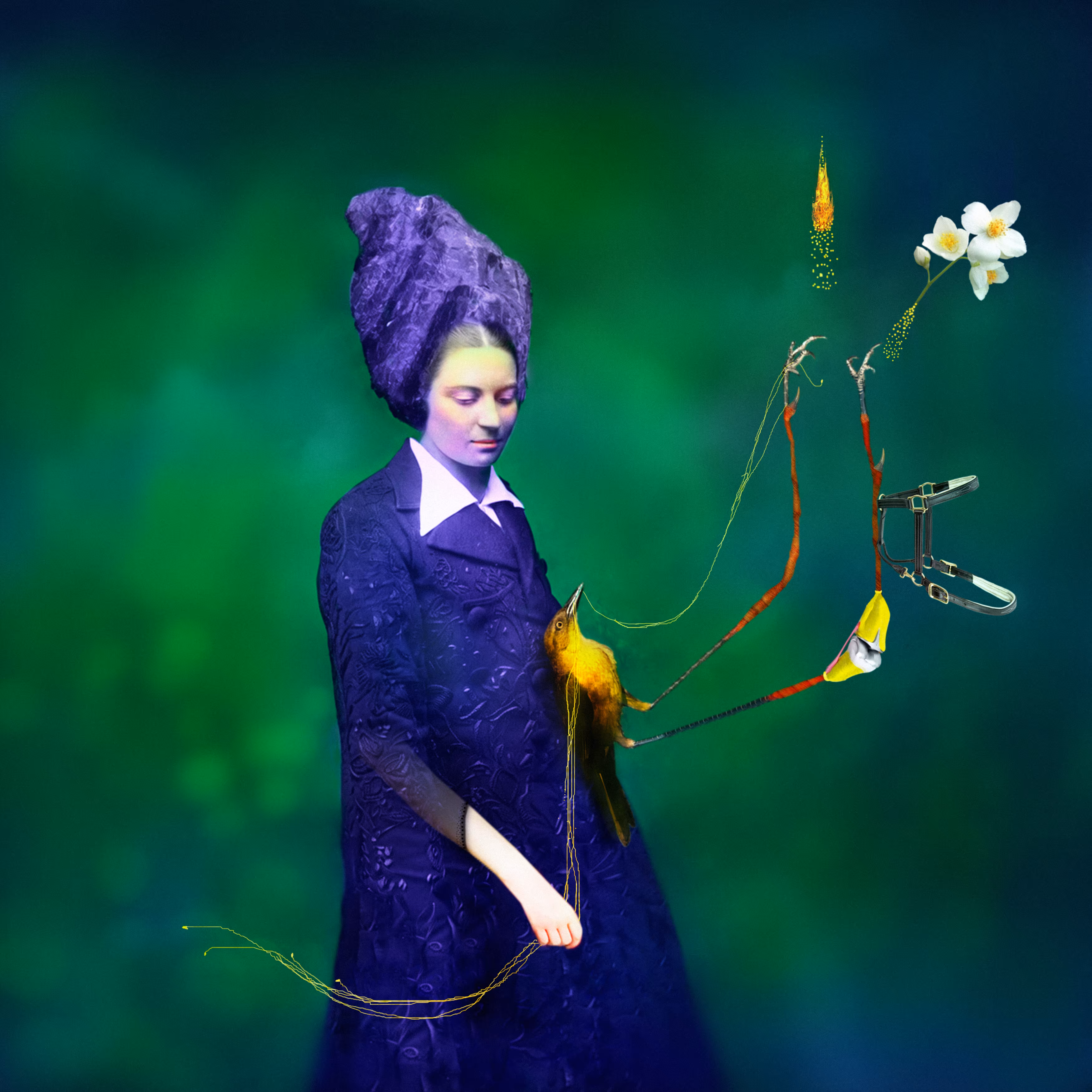 Untitled or Woman with Bird and Flowers